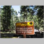 20060823_Sequoia_002 copia.jpg